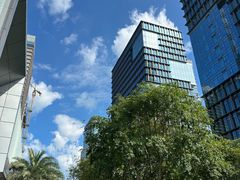 -招商蛇口邮轮母港(观光客运)