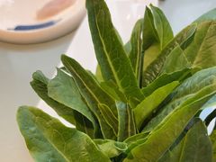 -渔惑·中山脆肉鲩火锅(金湾华发商都店)