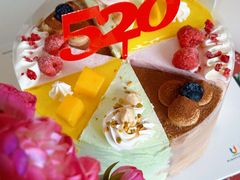 -维尔纳斯·生日蛋糕·动物奶油冰淇淋蛋糕(六里桥店)