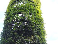 -三鹰之森吉卜力美术馆