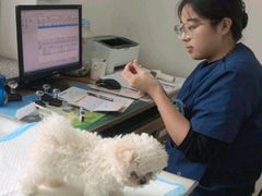 -派美特宠物医院·核磁CT·骨科肿瘤·疑难转诊(沈农禾丰店)