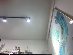 -CE·专业蛋白•羽毛接发·潮色烫染品牌店