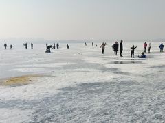 -丁香湖公园
