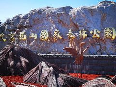 -北京西山国家森林公园