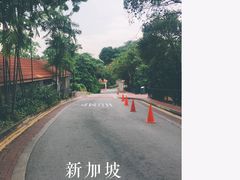 -武吉知马自然保护区