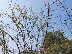 -白塘生态植物园