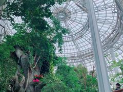 -郑州植物园