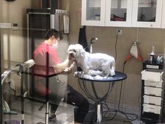 -宠物家(双井店)