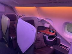 -新加坡航空公司(ION)