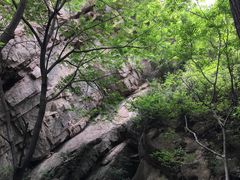 -大岭沟猕猴桃谷风景区