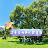 城中快闪露营地点绝绝子～