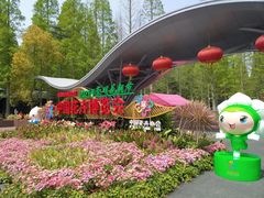 -东平国家森林公园