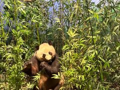 -陕西自然博物馆