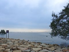 -宝安西湾红树林湿地公园