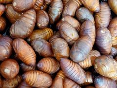 -北京清河镇农副产品交易市场中心