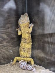 -Zoolung Zoolung动物主题公园(海信广场店)