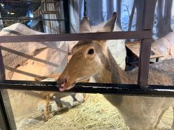 -酷嗒动物文化乐园(cutezoo西溪乐天城店)