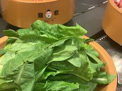 -龍歌自助小火锅(市南金茂湾店)