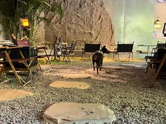 -J Create城市露营咖啡·简餐·宠物(上海动物园店)