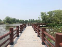 -长兴太湖图影湿地文化园