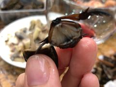 -莫华(锦绣趣园北街店)