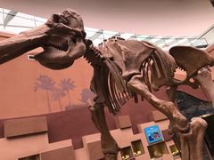 -陕西自然博物馆