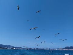 -那香海钻石沙滩浴场