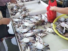 -何庄子阿米玛玛农产品批发市场