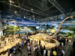 -自贡恐龙博物馆