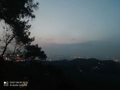 -大金鹰园