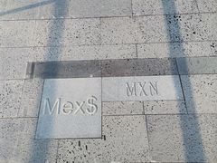 -厦门国家会计学院