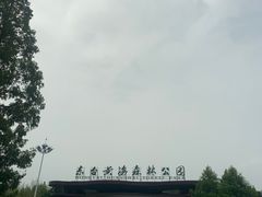 -黄海国家森林公园