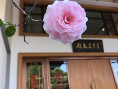 门面-滴水坊(星云文教馆店)