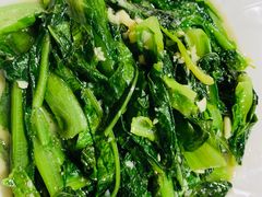 -煲来饱去冷水鱼