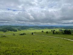 -塞罕坝国家级自然保护区