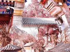 -北京凤凰岭