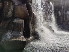 -黑龙江省森林植物园