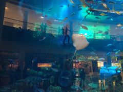 -迪拜水族馆及水下动物园
