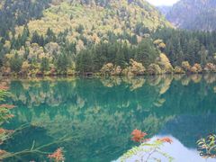 -九寨沟-树正沟