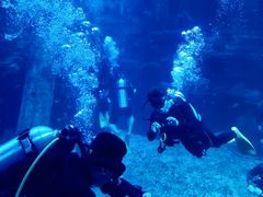 -太平洋海底世界