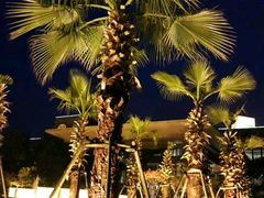 景观位-红豆杉庄会议中心