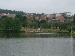 校园环境-厦门大学(思明校区)