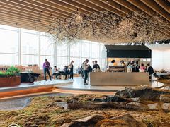 -Seesaw Coffee(朝阳大悦城店)