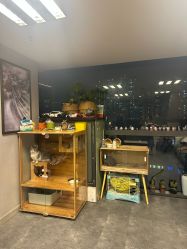 -極致刺青TATTOO STUDIO 私人订制