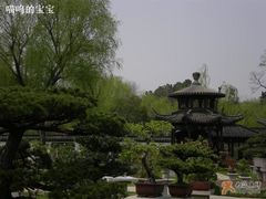 -盆景园(扬州大运河文化旅游度假区)