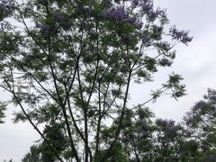 -白鹭湾湿地公园