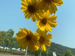 -冰川冷面·延边菜·炭烤串(观前店)