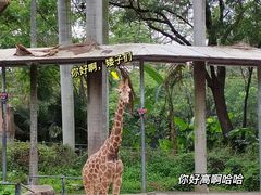 -广州动物园