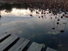 -成都中医药大学(温江校区)