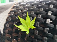 -望海·帆船主题咖啡厅•品茗下午茶(石湖景区店)